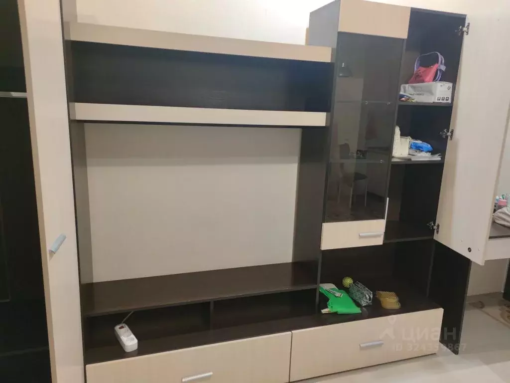 Студия Новосибирская область, Новосибирский район, Станционный ... - Фото 2