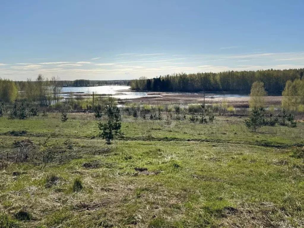 Участок в Костромская область, Красносельский район, Шолоховское ... - Фото 1