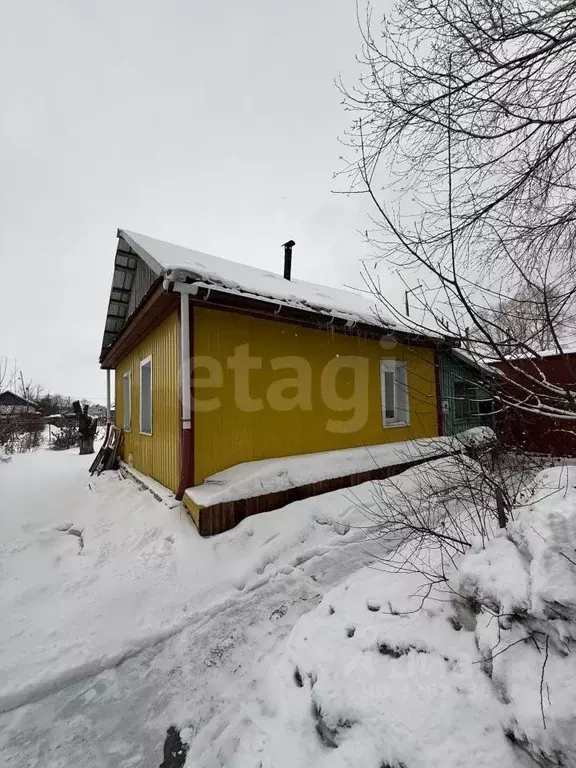 Дом в Амурская область, Белогорск ул. Куйбышева, 32 (28 м) - Фото 1