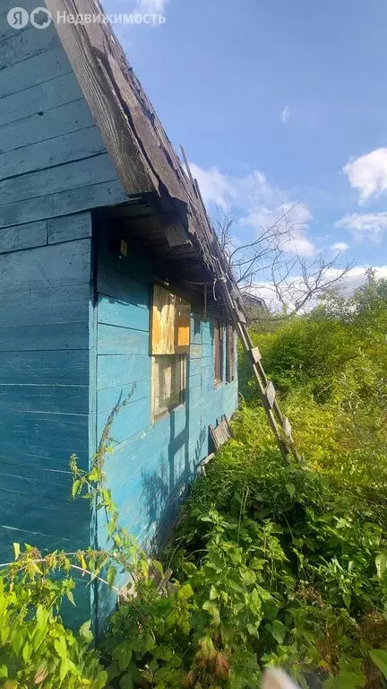 Дом в Ярославский муниципальный округ, СНОТ Рябинушка (30 м) - Фото 0