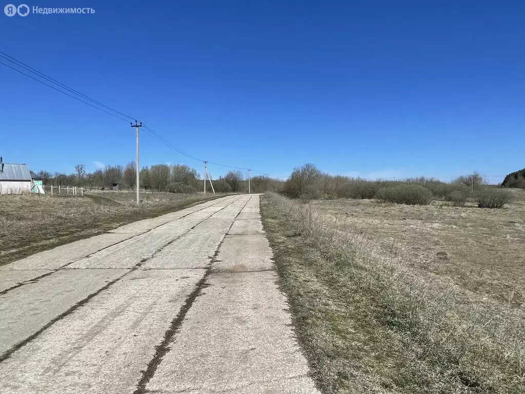 Участок в Нижегородская область, Богородский муниципальный округ, ... - Фото 1