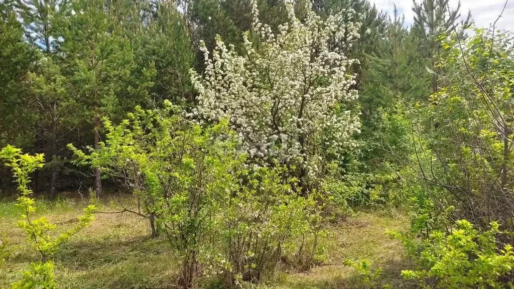 Дом в Свердловская область, Белоярский городской округ, с. Камышево ... - Фото 1