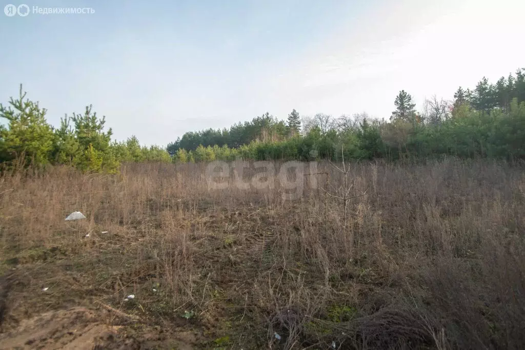 Участок в Архангельское, микрорайон Зенит (6 м) - Фото 1