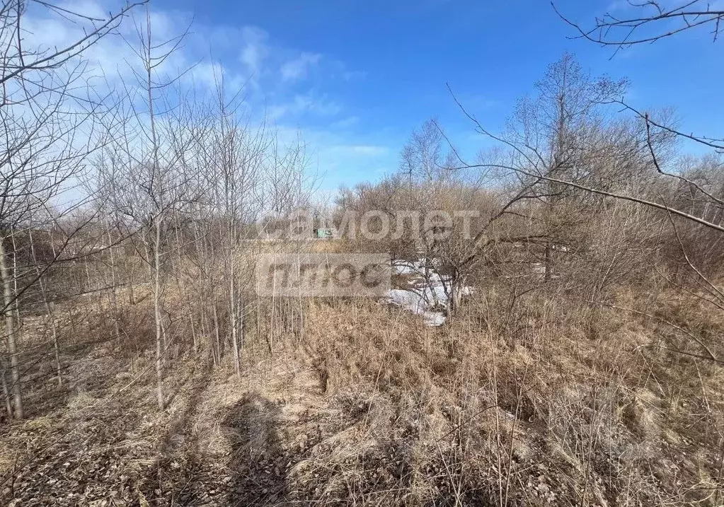 Участок в Приморский край, Артем ул. Острякова (10.0 сот.) - Фото 1