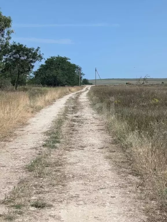 Участок в Крым, Черноморский район, с. Окуневка  (348.05 сот.) - Фото 1