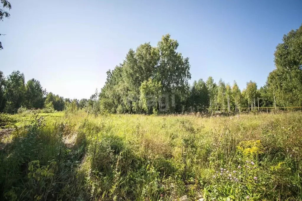 Участок в Новосибирская область, Искитимский район, Город-Сад ДНП  ... - Фото 0