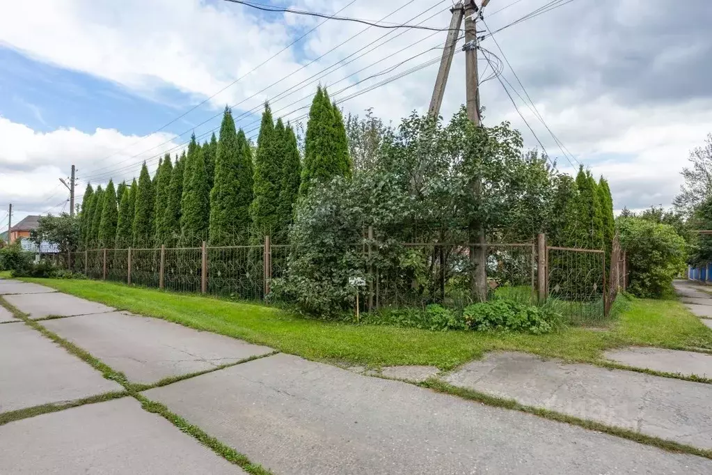 Участок в Москва № 46 кв-л,  (10.0 сот.) - Фото 2