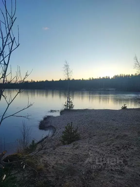 Дом в Ленинградская область, Всеволожский район, Рахьинское городское ... - Фото 1