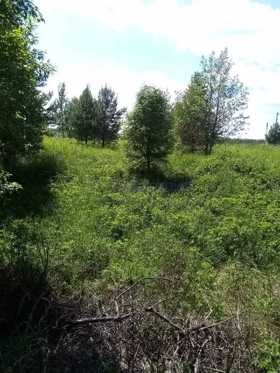 Участок в Нижегородская область, Дальнеконстантиновский муниципальный ... - Фото 1