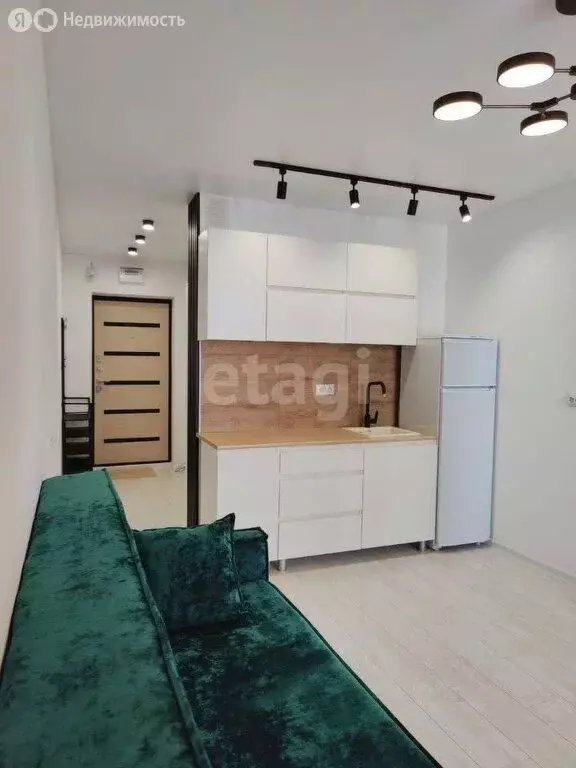 Квартира-студия: Новосибирск, улица Забалуева, 102/1 (20 м) - Фото 1