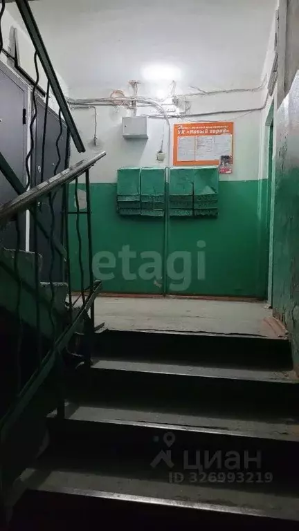 2-к кв. Амурская область, Свободный ул. 50 лет Октября, 19 (41.5 м) - Фото 2