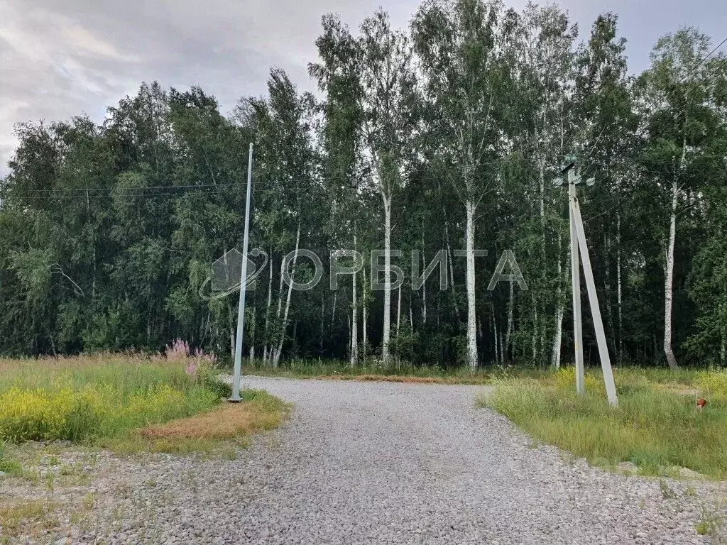 Участок в Тюменская область, Тюменский район, д. Падерина ул. Федора ... - Фото 1