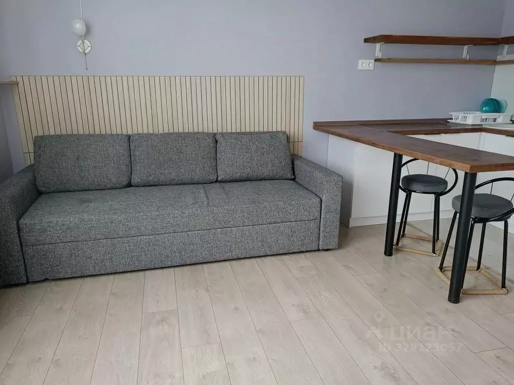 Студия Московская область, Домодедово Южный мкр, ул. ... - Фото 2