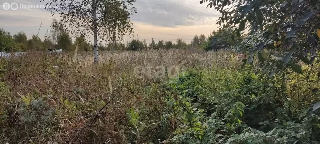 Участок в Костромской район, Бакшеевское сельское поселение, деревня ... - Фото 0