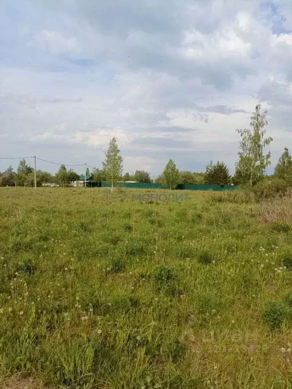 Участок в Нижегородская область, Богородский муниципальный округ, с. ... - Фото 0