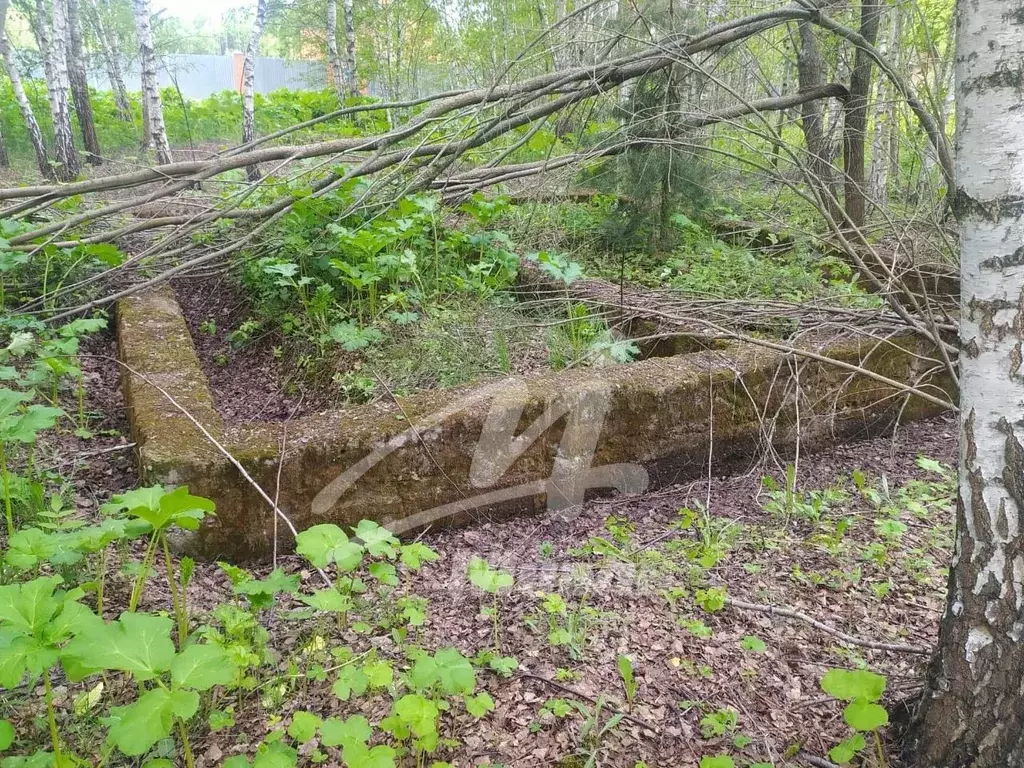 Участок в Московская область, Коломна городской округ, д. Сенцово  ... - Фото 1