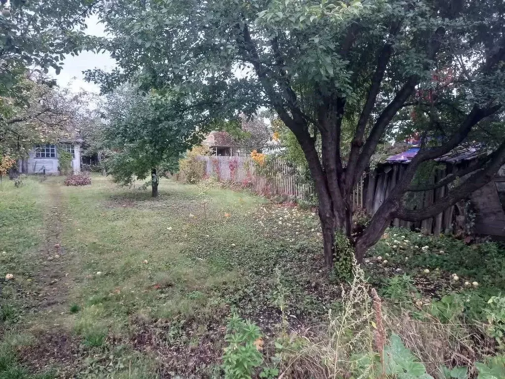 Участок в Воронежская область, Воронеж Строитель МВО СНТ, ул. Тихая ... - Фото 1