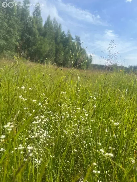 Участок в Мельниковское сельское поселение (2.8 м) - Фото 1