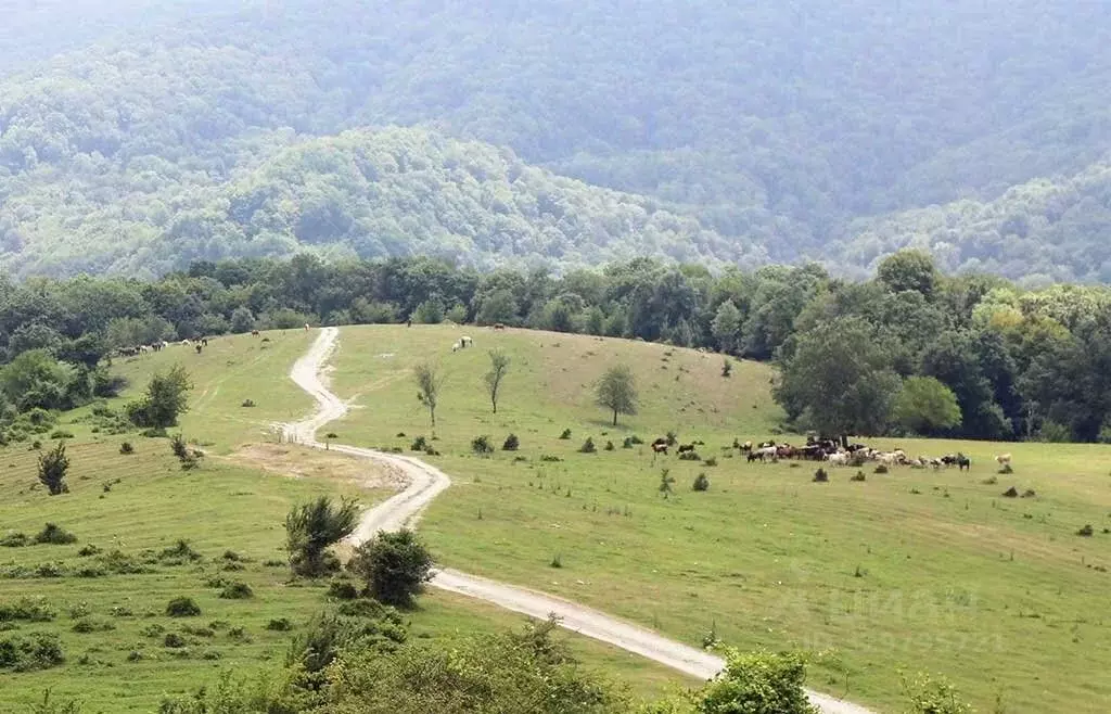 Участок в Краснодарский край, Сочи пл. Искусств (6.0 сот.) - Фото 2