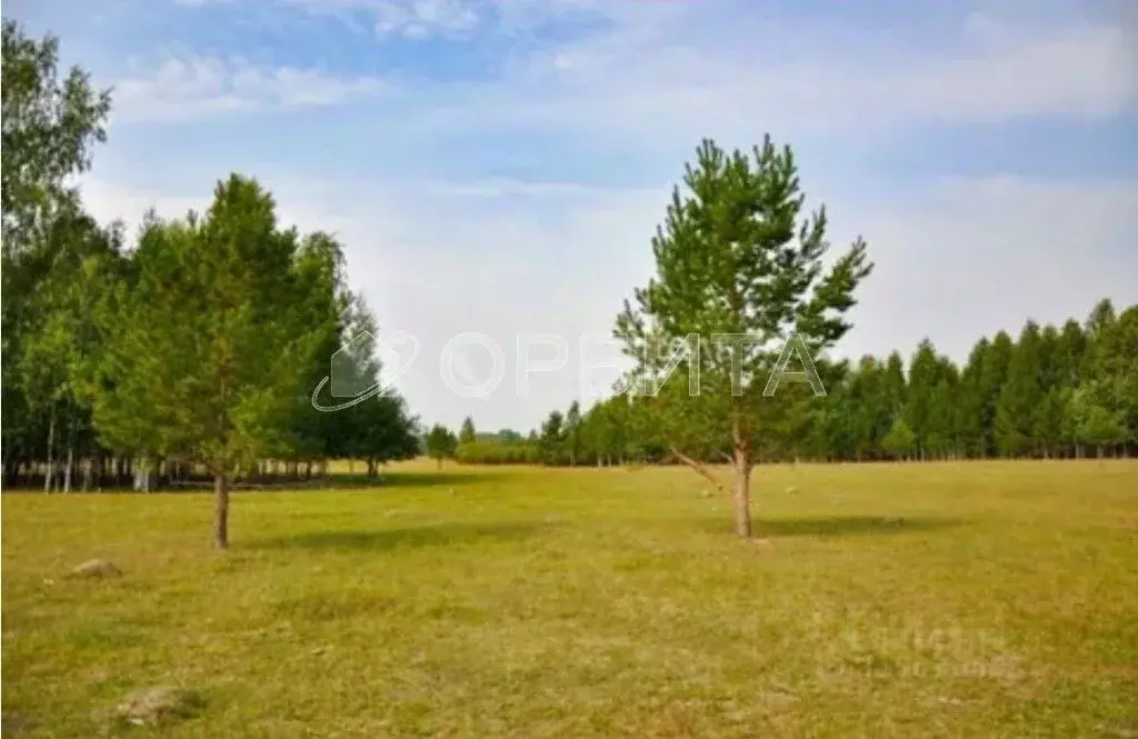 Участок в Тюменская область, Нижнетавдинский район, пос. Торгили ... - Фото 2