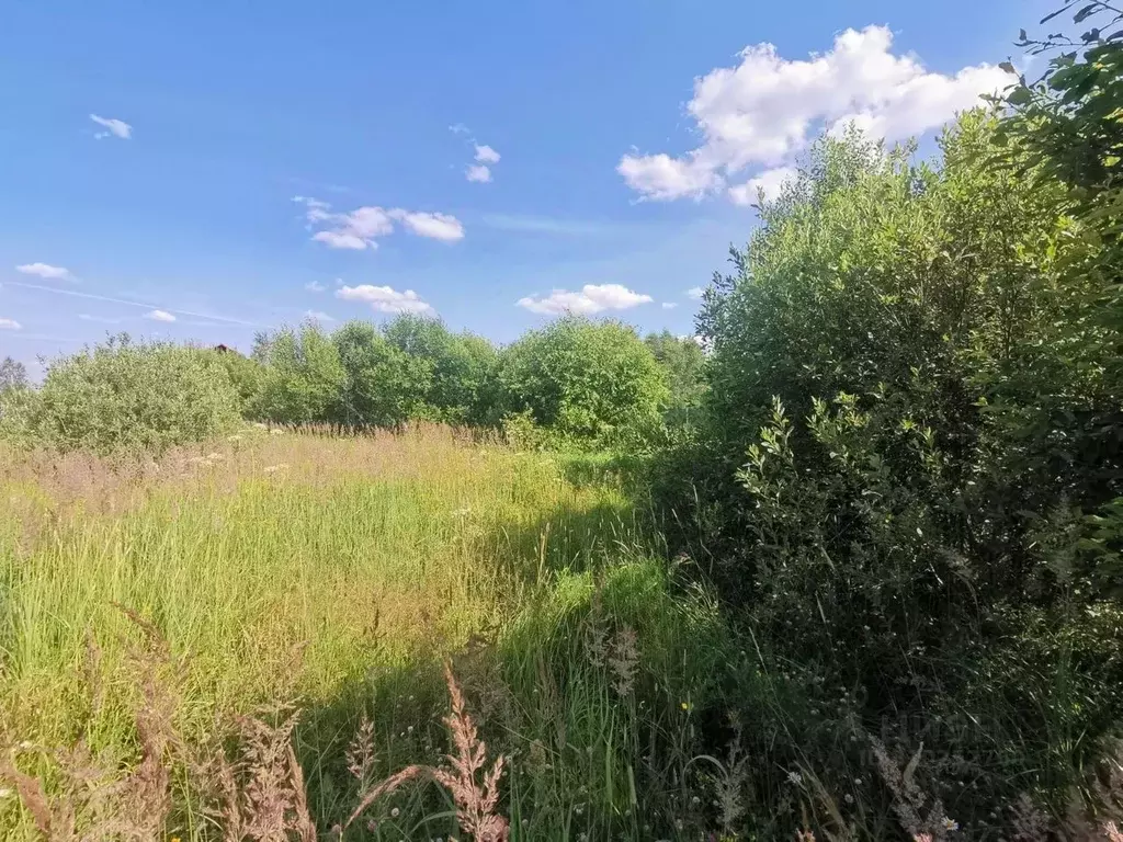 Участок в Московская область, Чехов городской округ, д. Алферово ул. ... - Фото 1