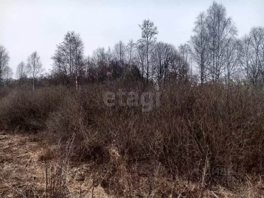 Участок в Псковская область, Куньинский район, Каськовская волость, д. ... - Фото 1