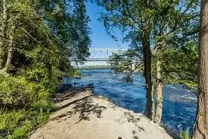 Участок в Ленинградская область, Приозерский район, Ромашкинское ... - Фото 2