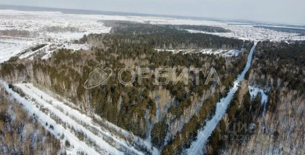 Участок в Тюменская область, Тюменский район, д. Ушакова  (11.0 сот.) - Фото 1