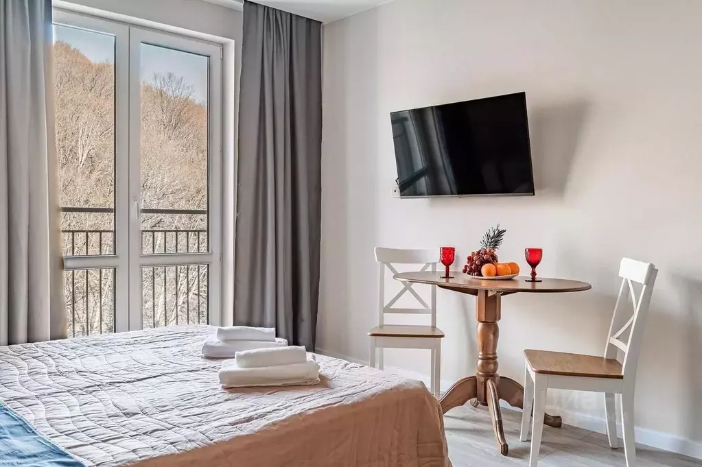 Студия Краснодарский край, Сочи ул. Искры, 88 (29.0 м) - Фото 2