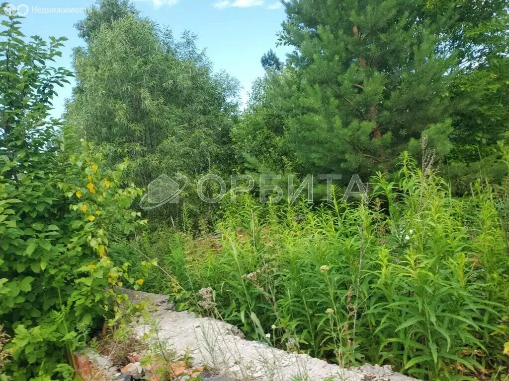 Участок в Нижнетавдинский район, деревня Штакульская (30 м) - Фото 1