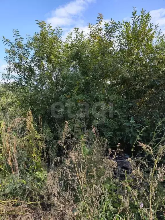 Участок в Тюменская область, Тюмень Поле Чудес садовое товарищество, ... - Фото 1