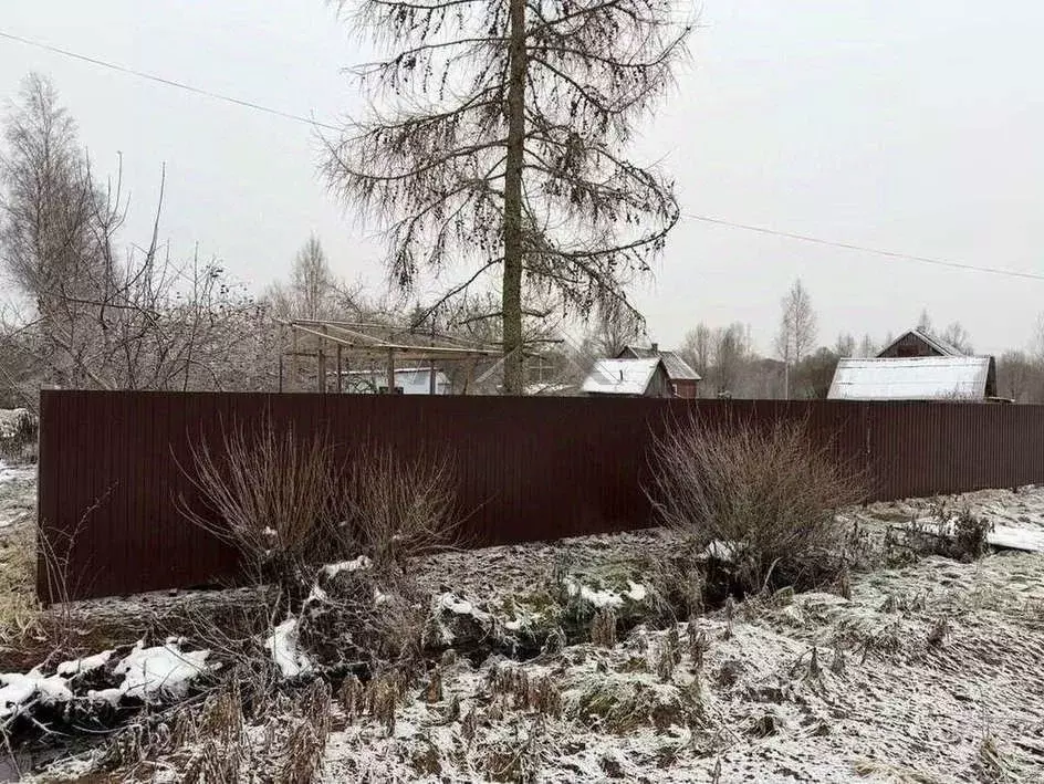 Участок в Новгородская область, Малая Вишера Зеленая ул., 11 (13.0 ... - Фото 1