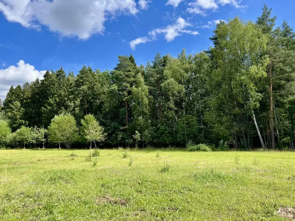 Участок в Московская область, Мытищи городской округ, д. Крюково ул. ... - Фото 2