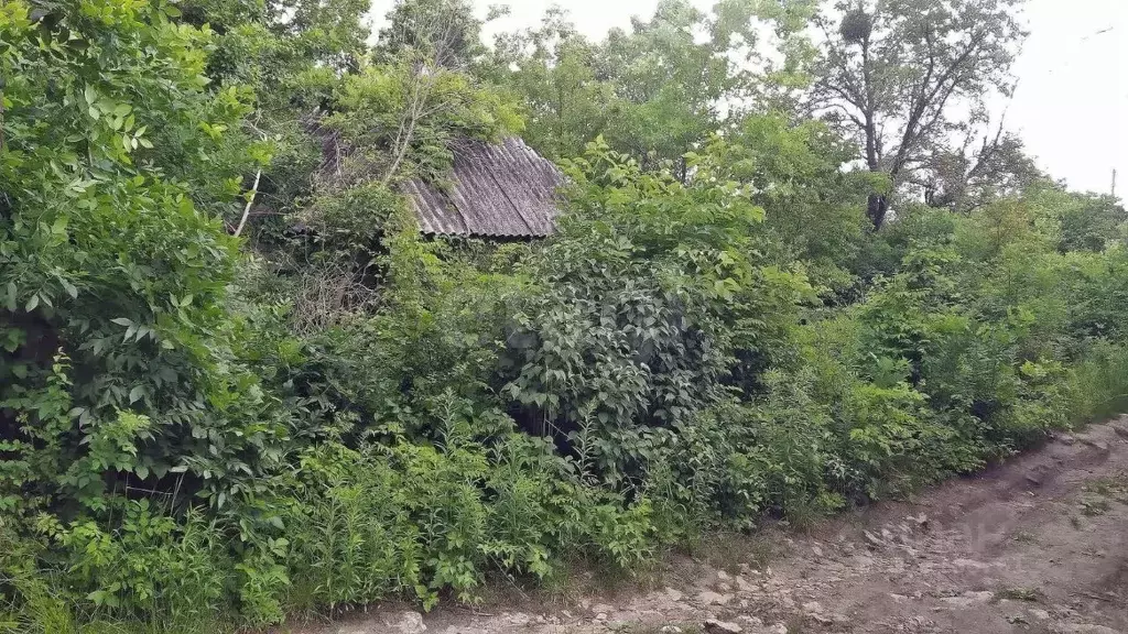 Участок в Ставропольский край, Ставрополь Железнодорожник СТ,  (4.0 ... - Фото 2