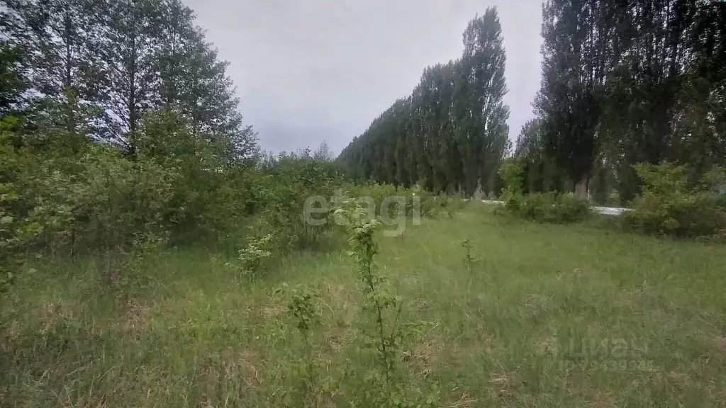 Участок в Адыгея, Майкопский район, пос. Каменномостский ул. Мира ... - Фото 0