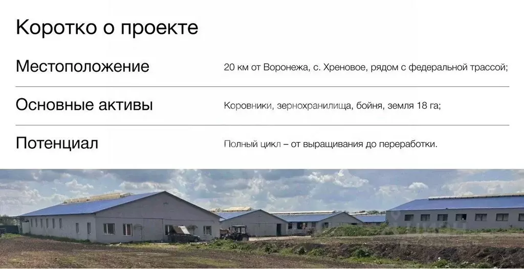 Производственное помещение в Воронежская область, Новоусманский район, ... - Фото 2
