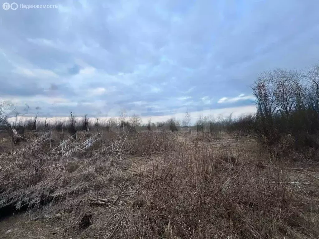 Участок в Ярославль, улица Колышкина (7.8 м) - Фото 2