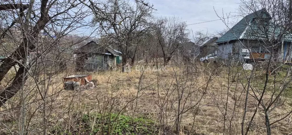 Участок в Нижегородская область, Нижний Новгород Победа СНТ, 118 (5.4 ... - Фото 1