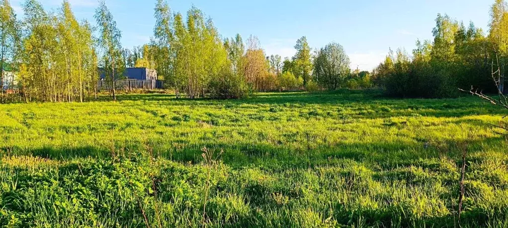Участок в Санкт-Петербург Сергиево тер., ул. Совхозная (12.49 сот.) - Фото 0