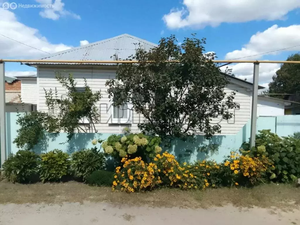 Дом в Белгородская область, рабочий посёлок Борисовка, переулок ... - Фото 1