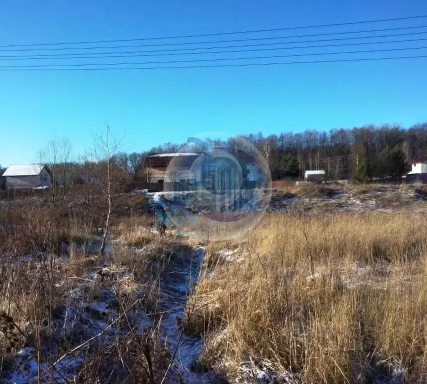 Участок в Московская область, Чехов городской округ, с. Молоди  (6.0 ... - Фото 1