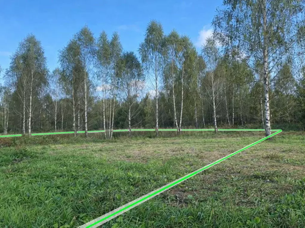 Участок в Ленинградская область, Тосненский район, Любанское городское ... - Фото 1