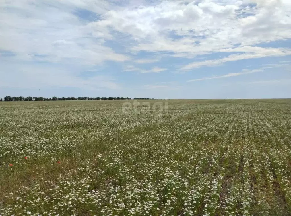 Участок в Крым, Евпатория городской округ, Новоозерное пгт ул. ... - Фото 1