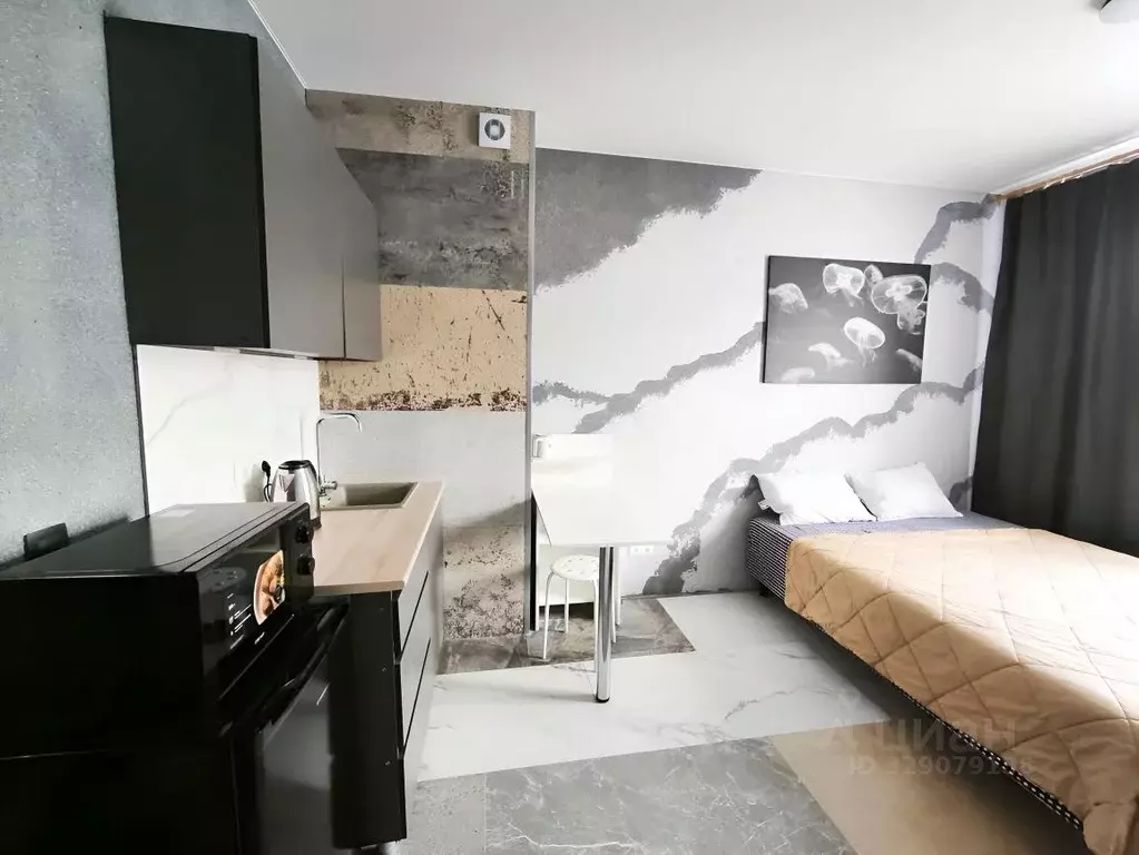 Студия Ленинградская область, Всеволожск Степной просп., 16к5 (20.0 м) - Фото 2