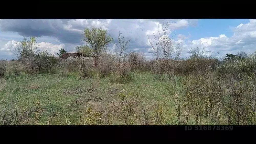 Участок в Оренбургская область, Оренбургский район, Пригородный ... - Фото 1