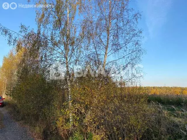 Участок в муниципальное образование Второвское, деревня Близнино ... - Фото 1