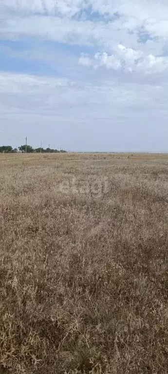 Участок в Крым, Сакский район, с. Штормовое ул. Виноградная (6.0 сот.) - Фото 0