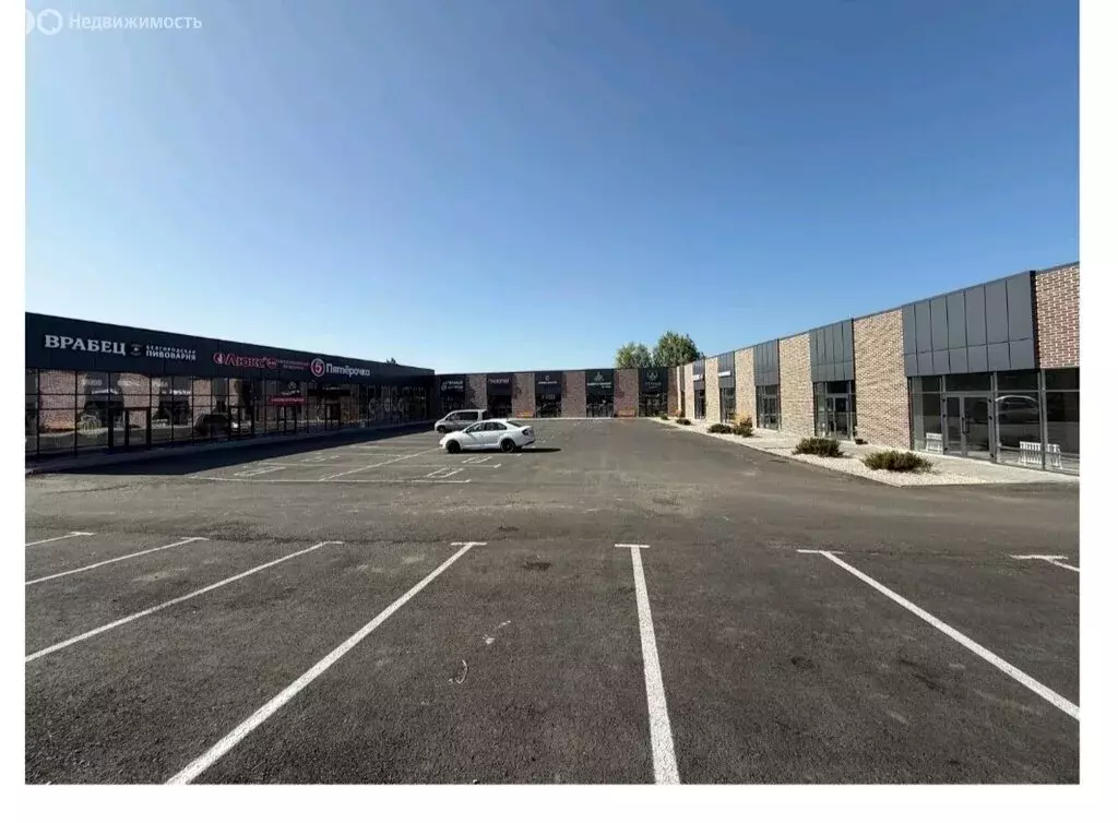 Торговая площадь (111.2 м) - Фото 2