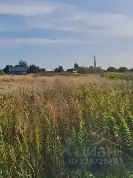 Участок в Калининградская область, Гурьевский муниципальный округ, ... - Фото 1