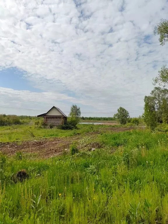 Участок в Набережные Челны, СНТ Энергетик, 207 (25 м) - Фото 0